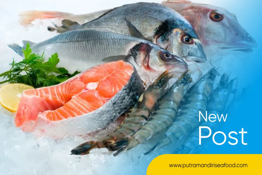 Supplier Seafood Terlengkap Bali
